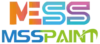 mms paint logo