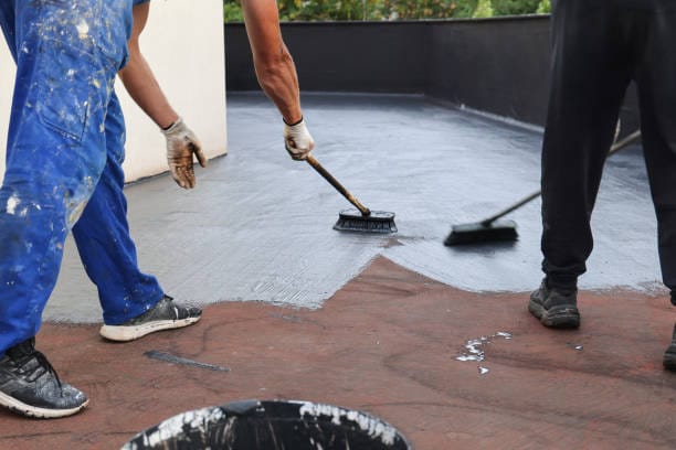mss paints Exterior Walls application